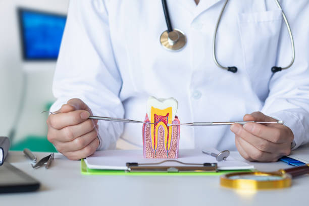 Best Emergency Wisdom Teeth Removal in Glen Burnie, MD